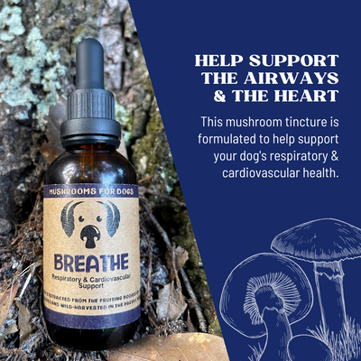 Breathe - Mushrooms For Dog